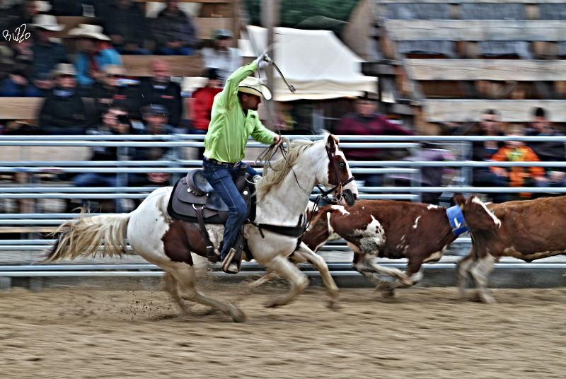 IMG_3597web